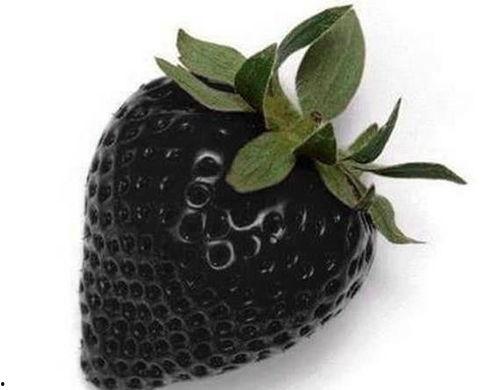 黑料吃瓜黑料百科,黑料百科中的明星幕后故事